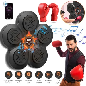 Electronic Boxing Training Wall
